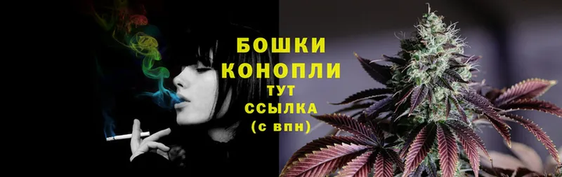 где продают наркотики  Карачаевск  Канабис OG Kush 